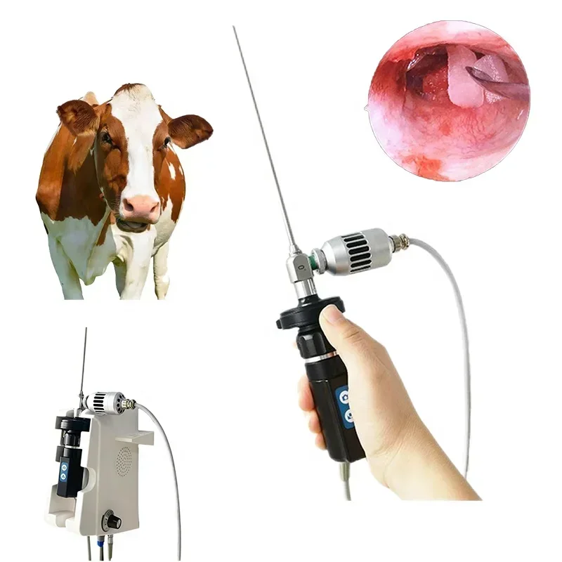 Otoscopio HD professionale medico industriale Sistema endoscopio per ispezione otorinolaringoiatrica Telecamera per otoscopio digitale veterinario per uso computer