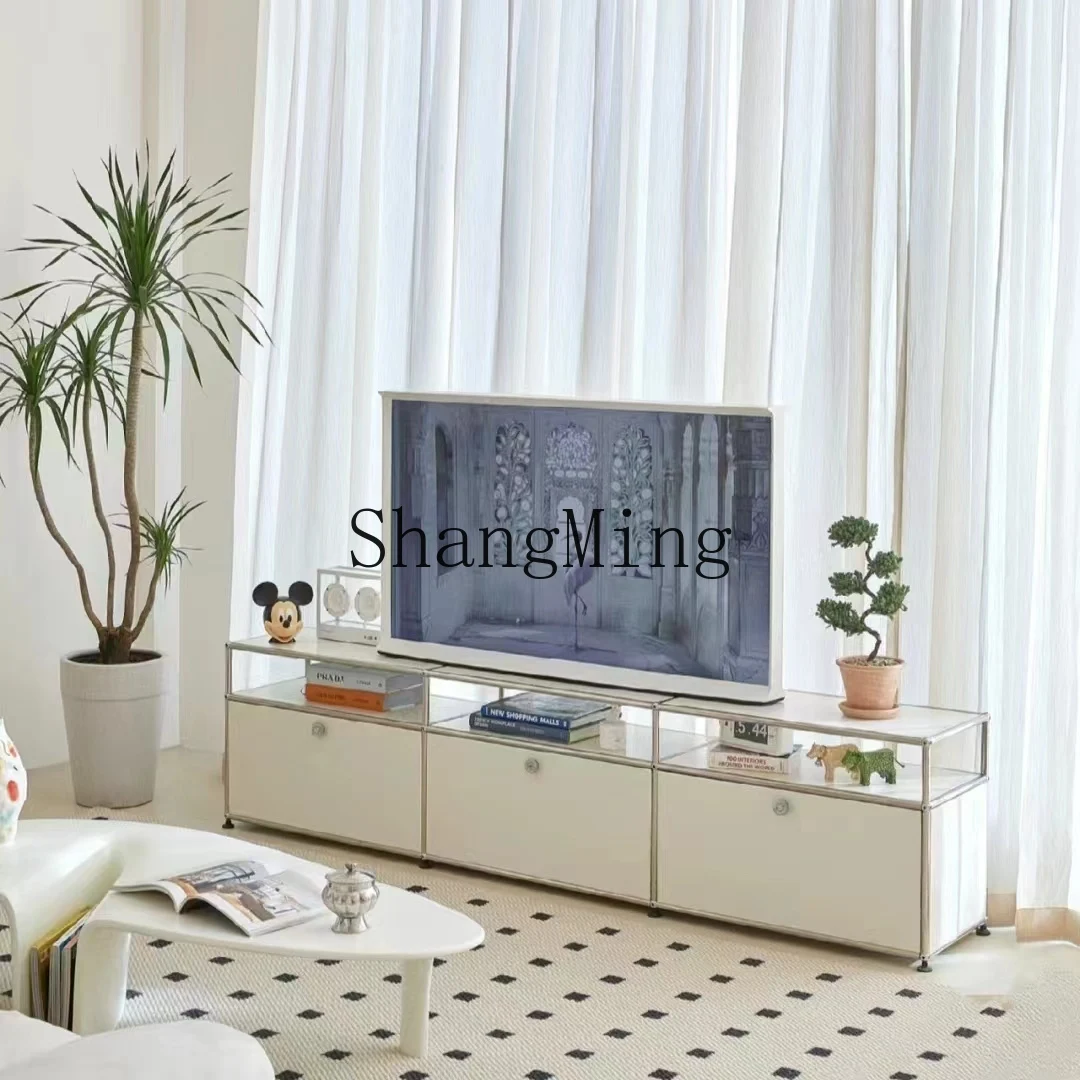 

HJ TV cabinet Modern simple living room ins wind stainless steel medieval storage locker