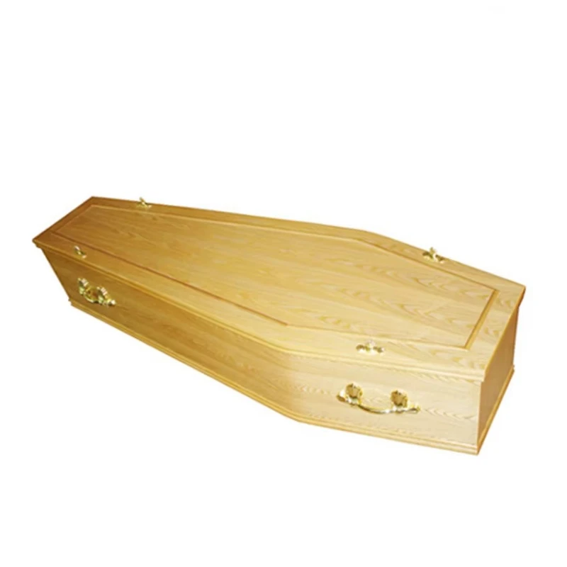 

Cheap cardboard coffins and caskets with metal handles