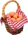 12 eggs and 1 basket