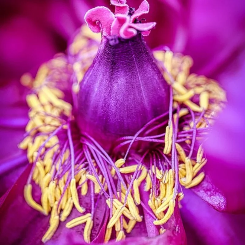 

4pcs 1.0" Metal Beadlock Wheel Tire Set For 1/18 RC Crawler Car TRX4M SCX24 D260 Upgrade Parts Accessories