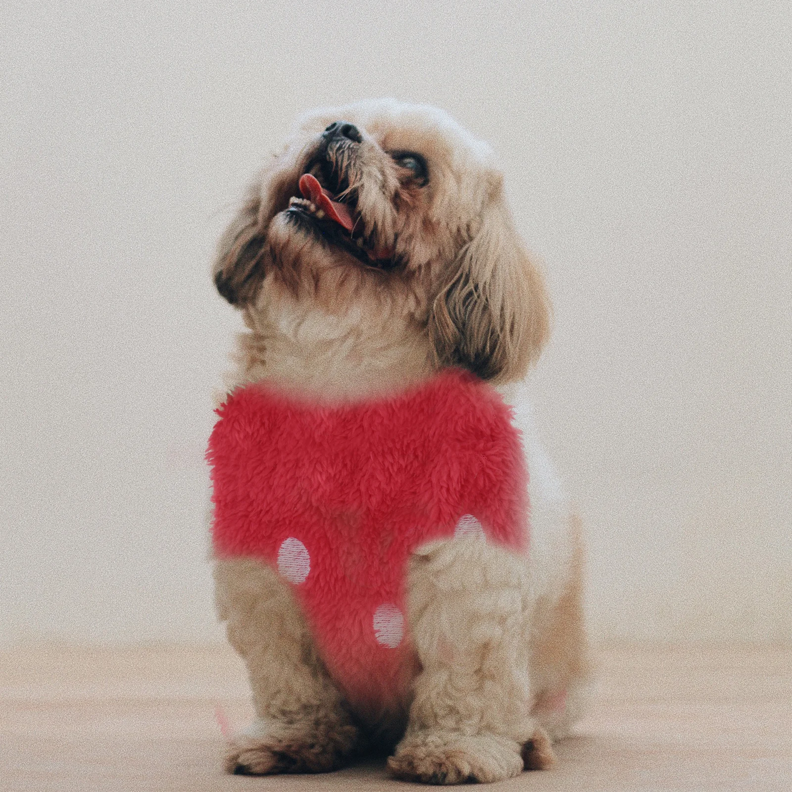 

Dog Strawberry Pattern Small Pet Vest 1 Piece Exquisite Coral Fleece Apparel for Guinea Pig Bunny Ferret Hoodie