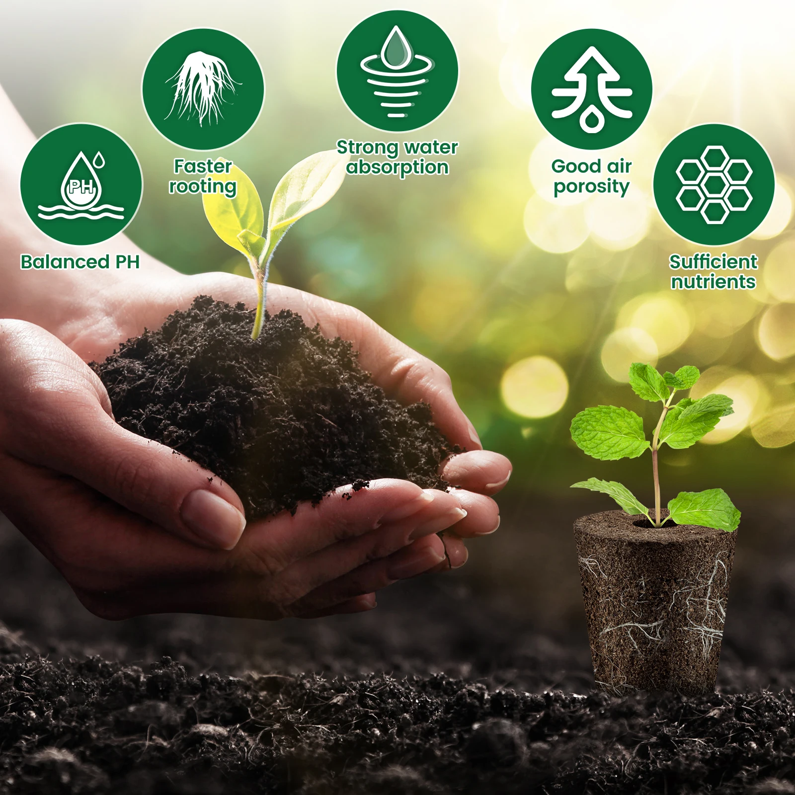 50/100 قطعة من إسفنجات النمو ل - مراجعة Plant Parent Kit وسعره