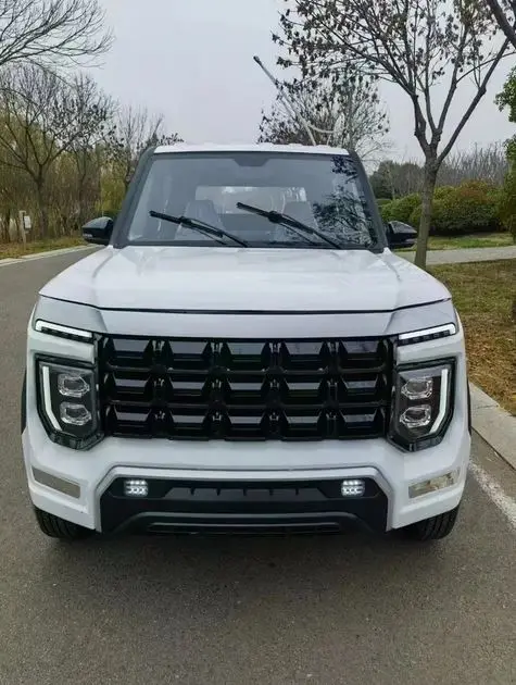 Best Quality Hot Selling World Wide Demand New Energy Electric High Performance Electric Pickup Truck Electric For Sale