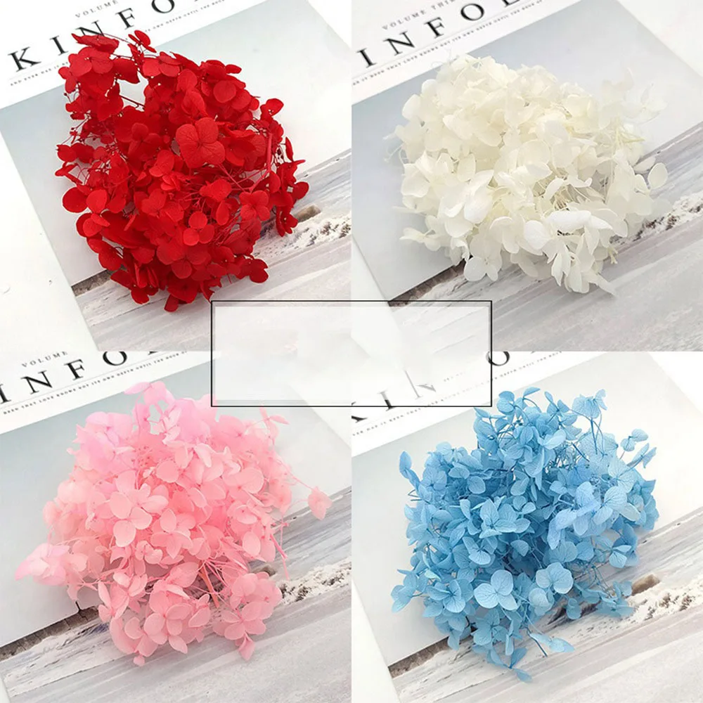 

Real Dried Flowers for Nail Art Candle Epoxy Mold Filling Natural Pressed Plant Petal Flower For Resin DIY Handicrafts Jewelry