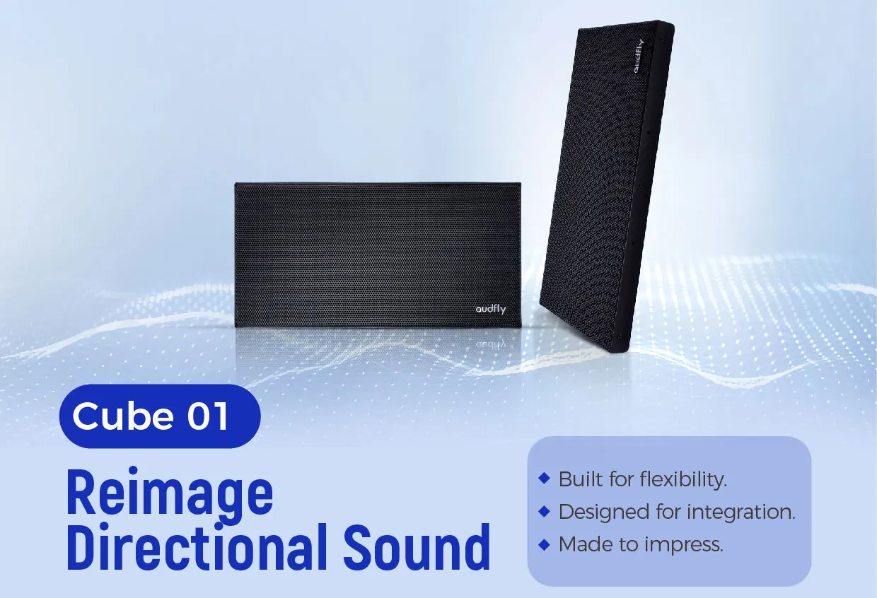Advanced Audio Control Vesa Mount Slim Directional Sound Emission Directional Loudspeakers for Digital Signage