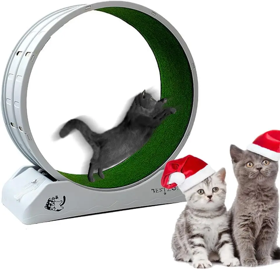 

Cat Exercise Wheel For Indoor Cats Cat Runner Treadmill Pet Roller Training For Cat's Healthy Pet Home Supplies Pet Toy