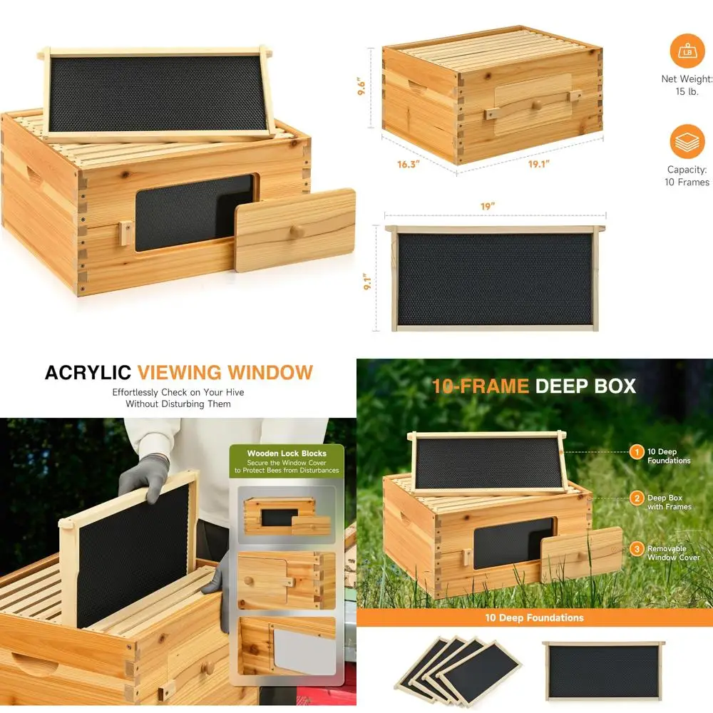 

Коробка для глубокого улья Langstroth с 10-рамочными рамками и основания для бровей с покрытием из пчелиного воска для пчеловодства