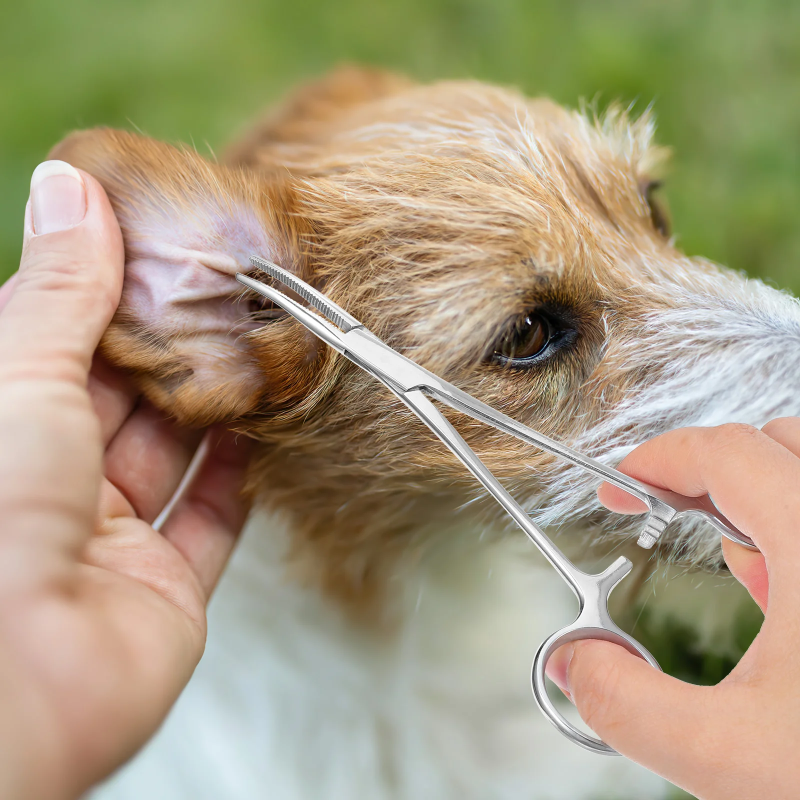 Pinzas de bloqueo, pinzas para pelo de mascotas, herramienta de terapia de ventosas, 2 uds.