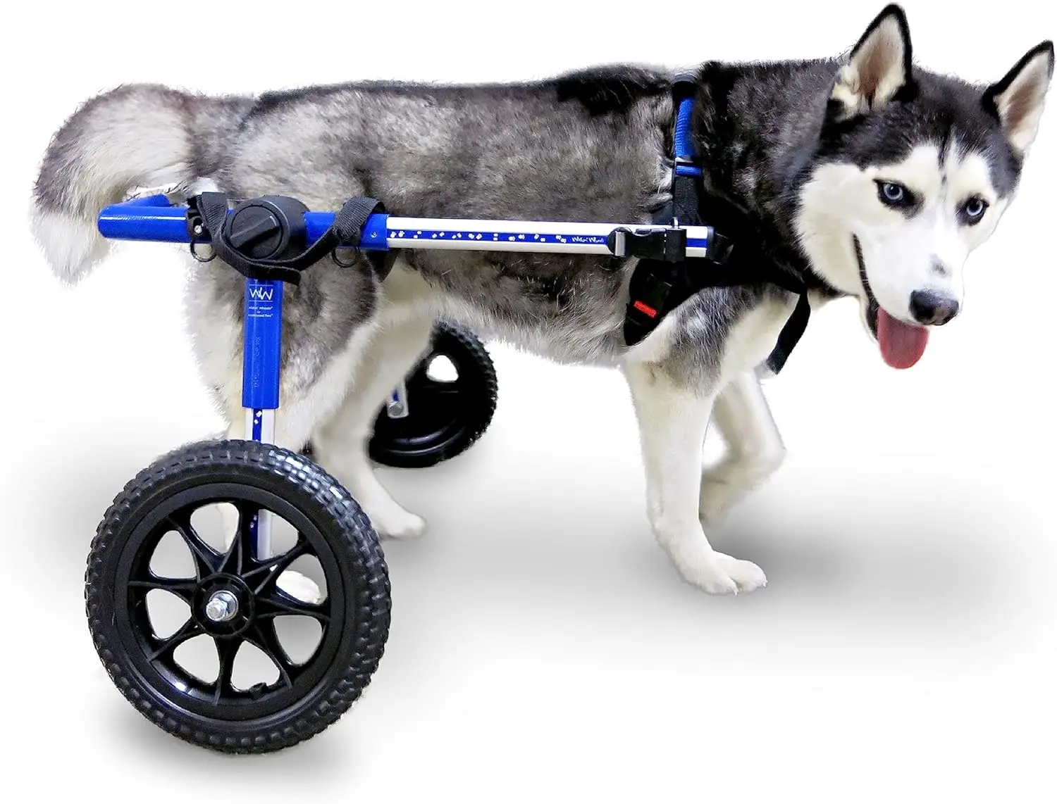 Dog Wheelchair - for Med/Large Dogs 50-69 lbs - Veterinarian Approved - Dog Wheelchair for Back Legs