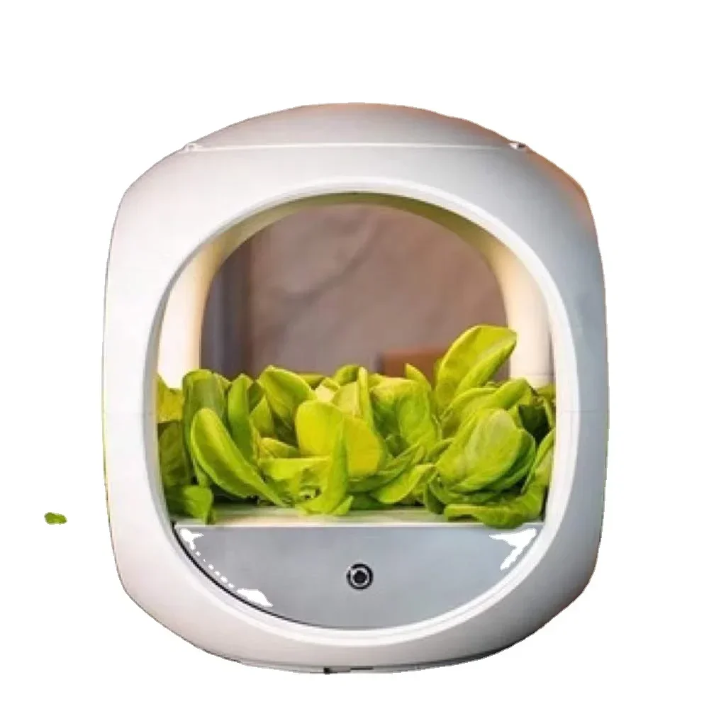 

New design planting pots auto water Irrigation lettuce strawberry smart garden indoor grow hydroponics systems