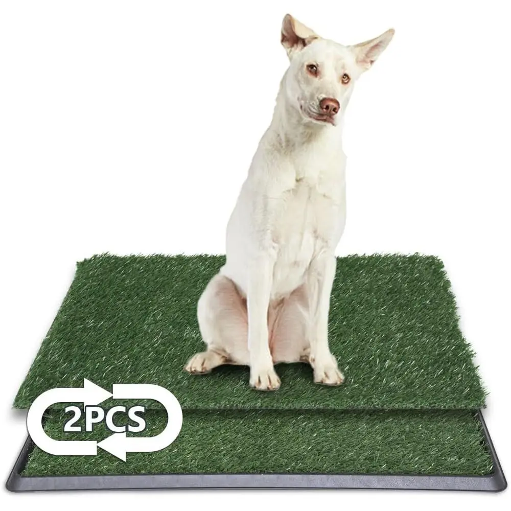 

Indoor Pet Litter Box or Training Toilet System - 20x25