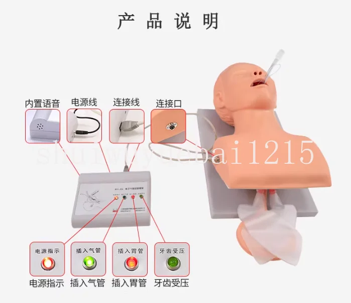 Teaching Model Human Body Electronic Endotracheal Intubation Simulation Airway With Teeth Pressure Equipment 1:1 Life Size