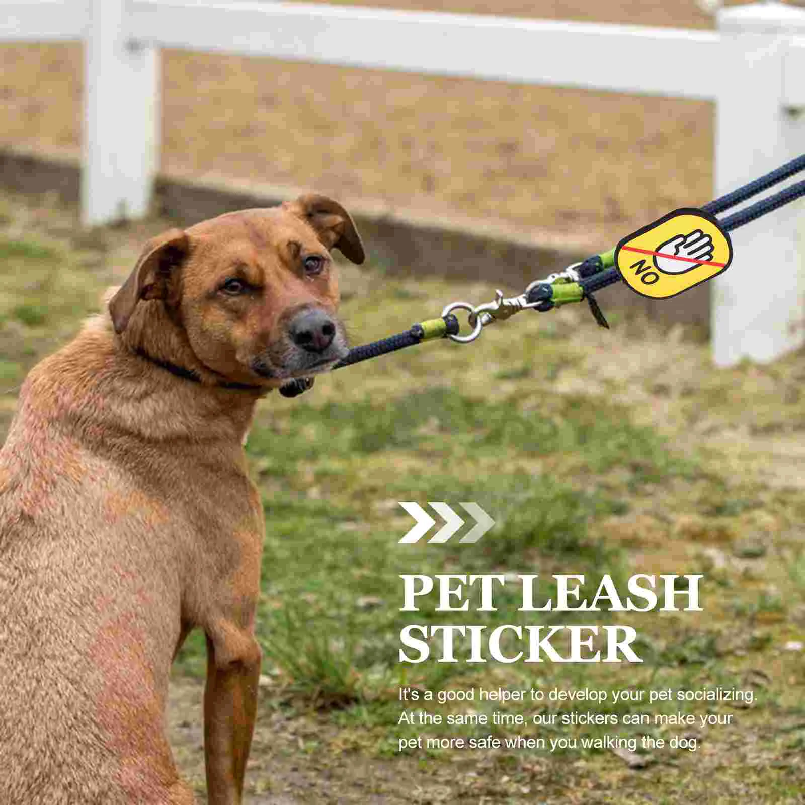 Pet Social Post Identification Leash Decal for Puppy Decals Mild Dog Warn Sticker Accessory Training Aid