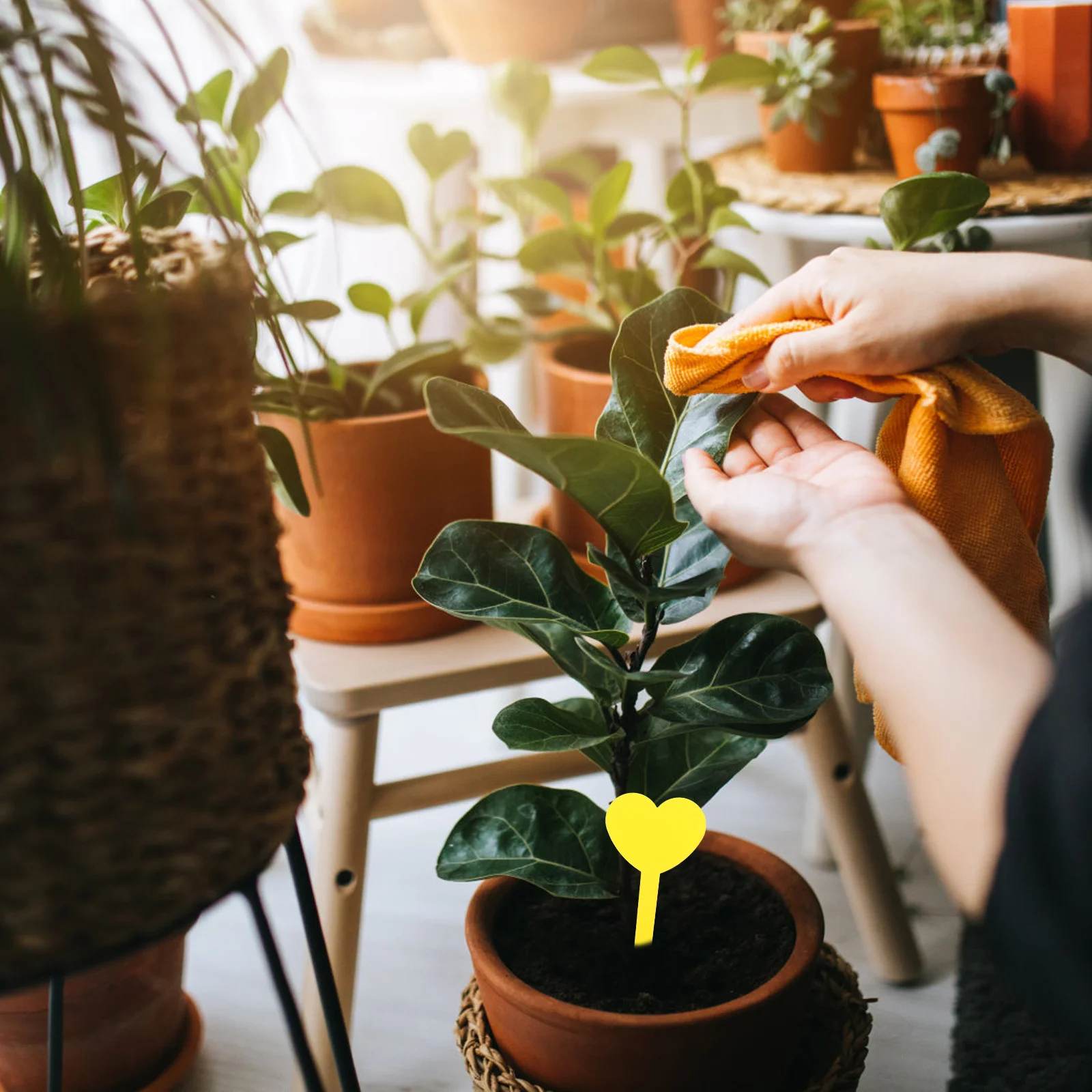 

100pcs Heart Shaped Plant Labels Garden Markers For Flower Id Durable Plant Classification Tags Lawn Decorative Signs