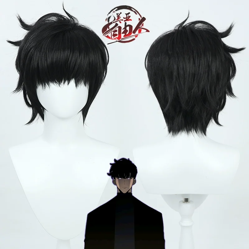 

Heat Resistant fiber wigs Cosplay Wig for Solo Leveling Sung Jin-Woo