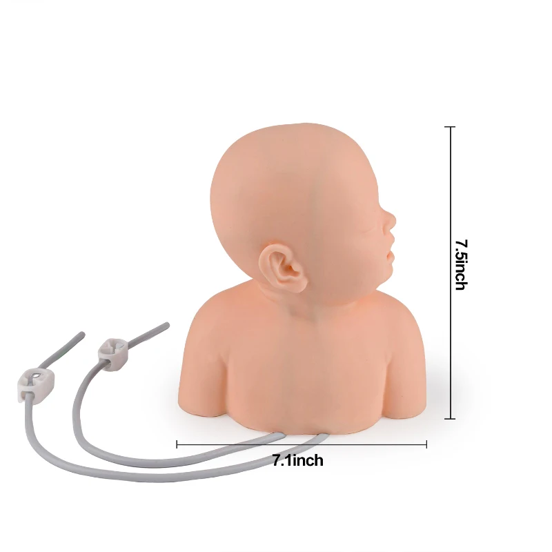 Medical teaching model infant head intravenous injection puncture model head intramuscular injection puncture training