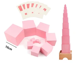 Montessori Pink Tower 10CM W/ Cards n Stand Sensory Toys Game for Visual Sense Experience Early Childhood Educational Materials