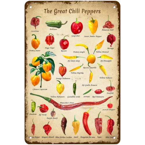 Metal Poster Plaque Chilli Peppers of The World hilli Peppers Guide Chili Art