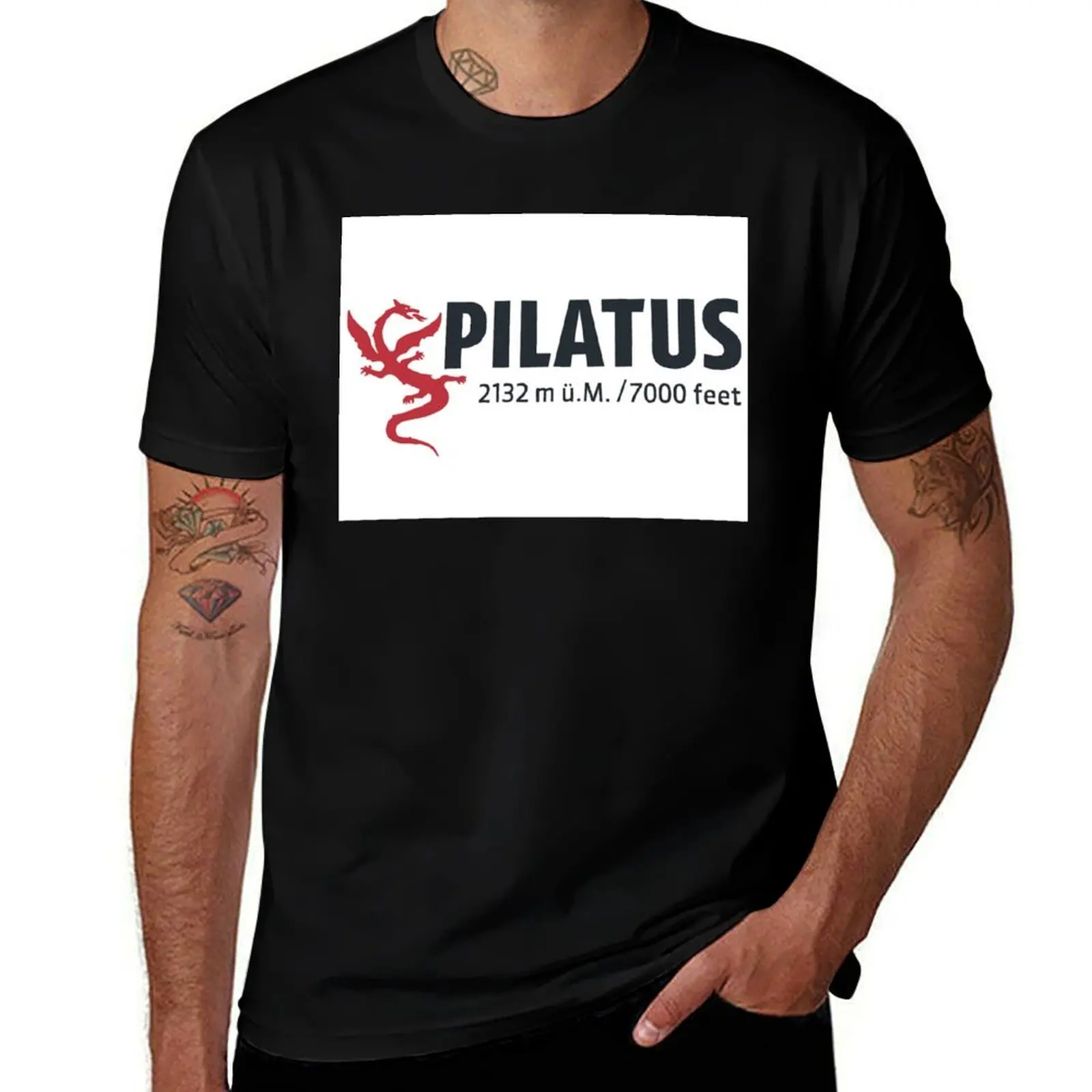 Pilatus, Swiss Alps T-Shirt Urban Style Print T-Shirt