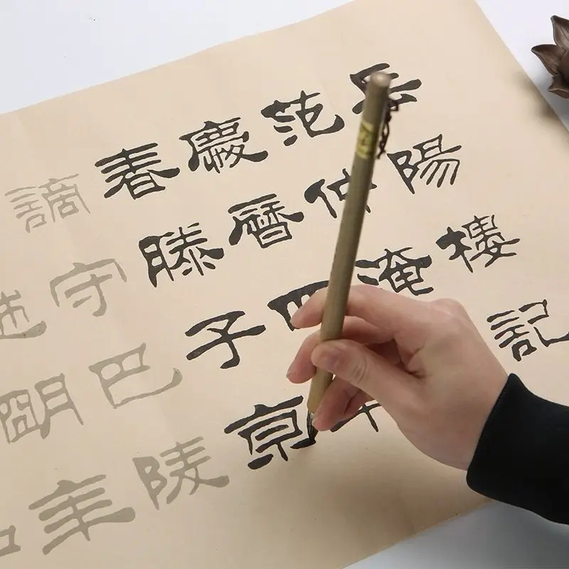 Chinese Brush Calligraphy Practice Copybook Rice Paper Copybook Adult Beginner Liu Bingsen Official Script Calligraphy Copybooks