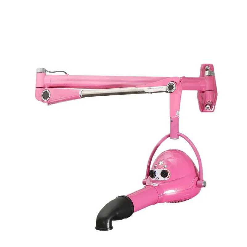 Bass hair dryer for pet beauty styling, negative ion wall-mounted vertical hair pulling machine