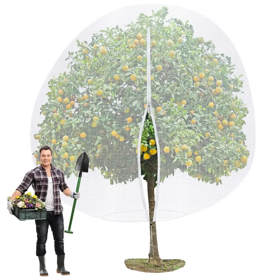 X 12 Ft Large Fruit…