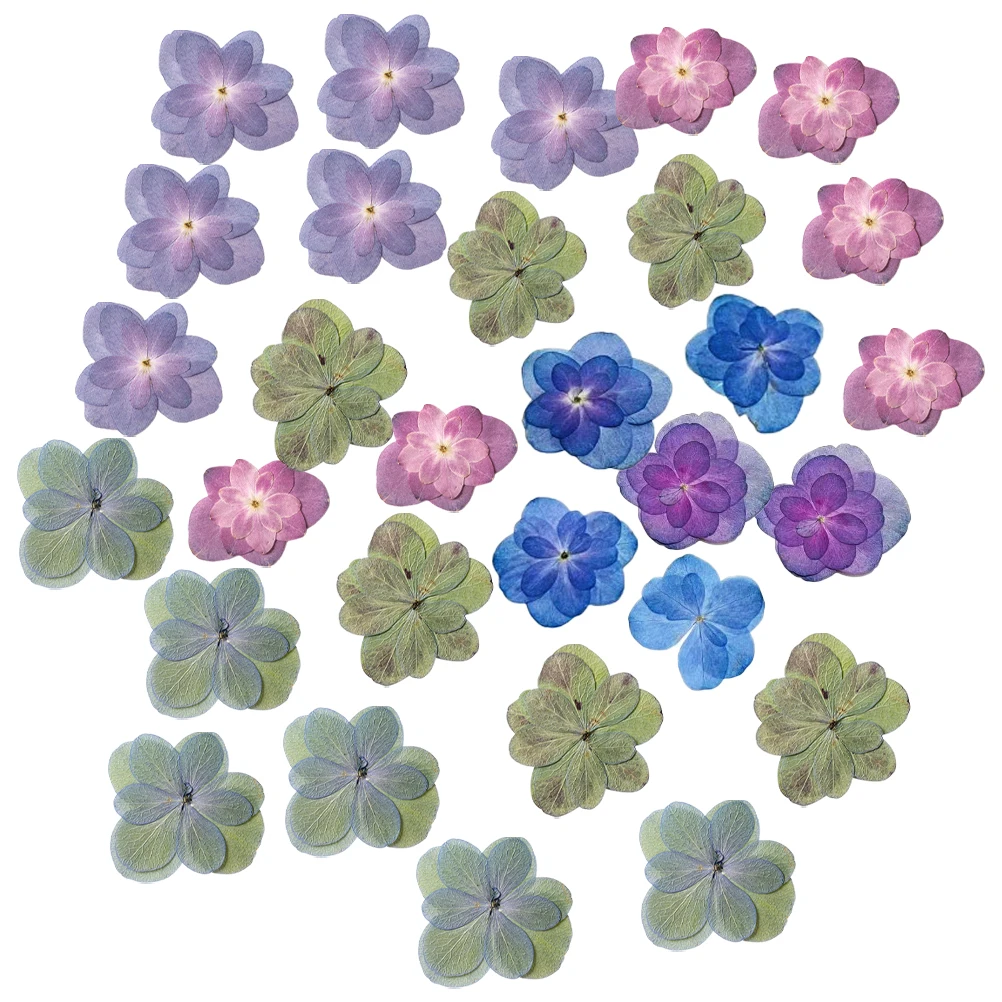 

30pcs Double Peony Dried Pressed Flowers Natural Long-Lasting For Diy Resin Crafts Scrapbooking Bookmarks Decor