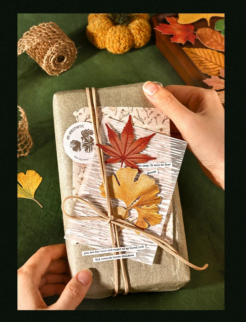 JIANWU Vintage Autumn Leaves Maple Leaf Landscape Material Collage Scrapbooking PET Sticker Creative DIY Journal Stationery