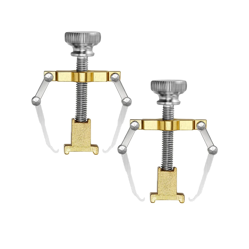 

2 Pieces Gold Ingrown Toenail Lifter Ingrown Toenail Tool Toe Clamp Stainless Steel Foot Care Tool for Paronychia