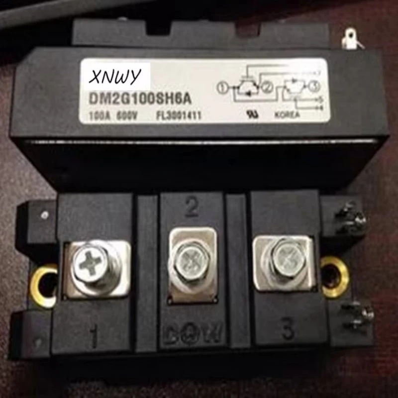 

DM2G100SH6A
