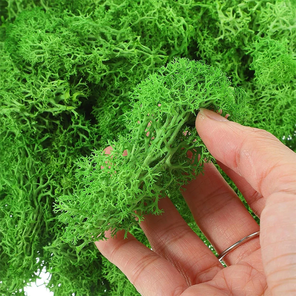 200g Artificial Green Plants Landscape Mini Eternal Life Moss Grass Fake Grass Garden Living Room Home Decoration DIY Crafts