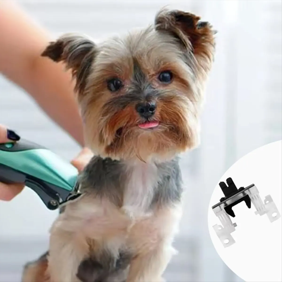 AA97 Blade Drive As…