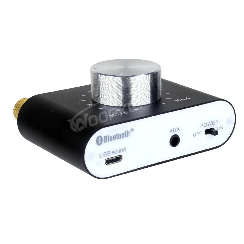 Mini Amplificatore di Potenza Bluetooth 5.0 Ricevitore Audio Stereo Hifi Amplificatore di Potenza Auto Amplificatori Audio Amplificatore Digitale Karaoke casa Soni