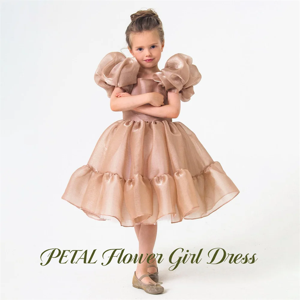 

Petal Champagne Flower Girl Dress Square Neck Baby Kids Birthday Dress Two Tier Ruffle A Line Pageant Dress for Girl