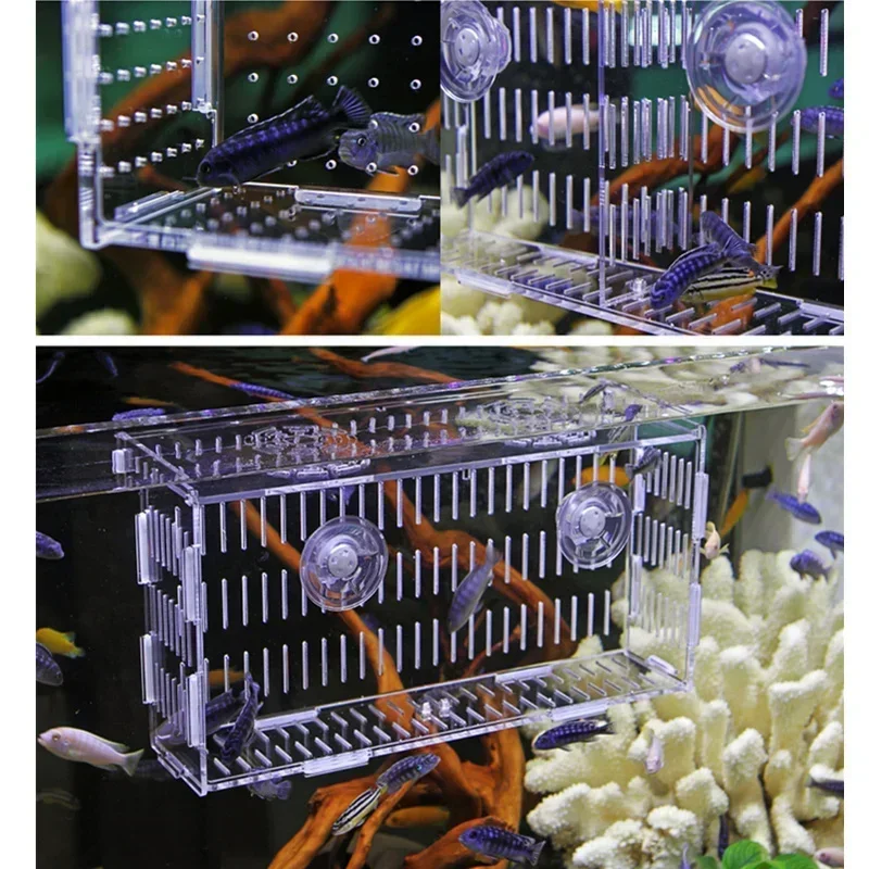 Acrylic Fish Breeder Box Breeding Isolation Box Fishs Hatchery Divider Shrimp Guppy Betta Single/double Grid Transparent Tank