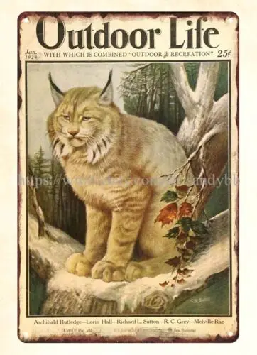 nostalgic wall art 1929 Outdoor Life BOBCAT LYNX COUGAR wildlife metal tin sign