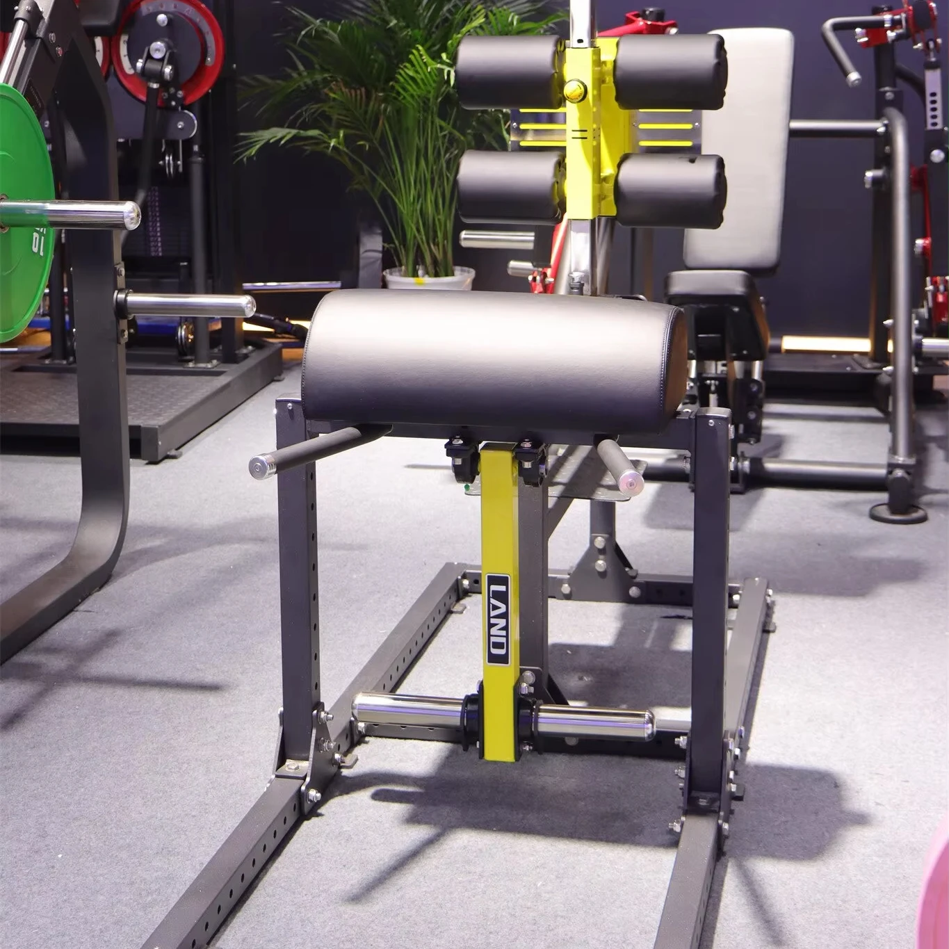 

Factory Wholesale Gym Equipment GHD Machine Glute Ham Developer