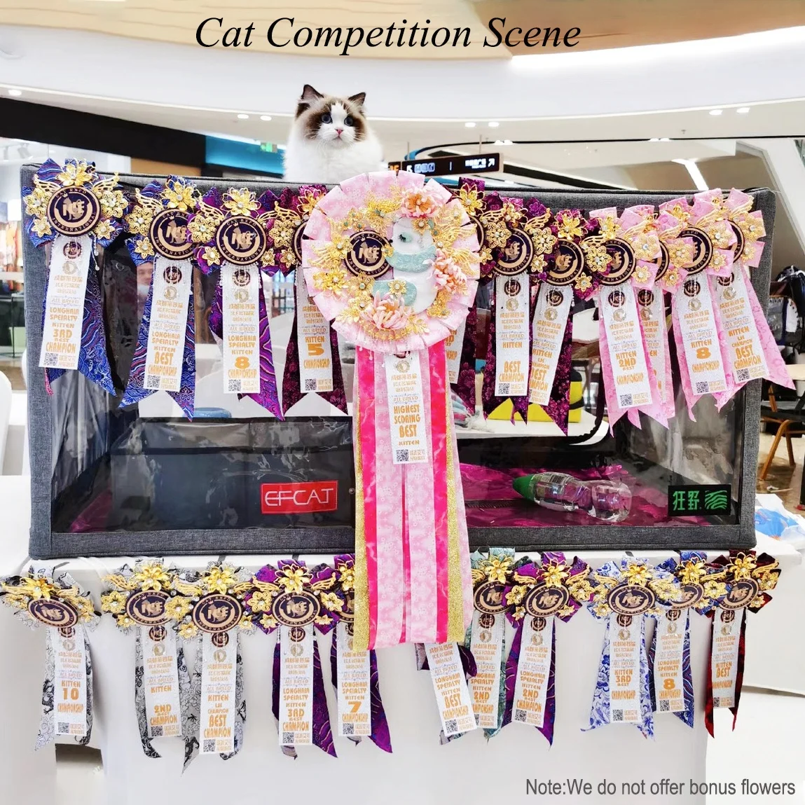 Cat Show Cage Competition Transparent 3D Display Shelter with Cat Hammock Folding Litter Box for Cat Exhibition