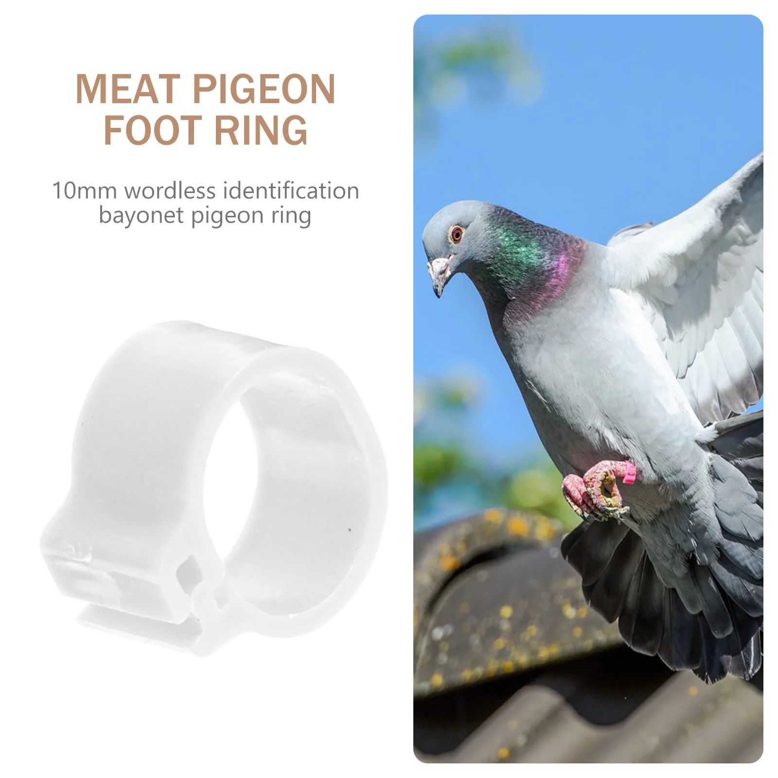 

100Pcs Pigeon Foot Rings Lightweight Plastic Clip-on Leg Bands Identification Rings Bird Accessories Pigeon Foot Ring