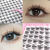 320 Cluster Eyelash Book Large Capacity Japanese-Korean Style False Lashes C-Curl Trilogy Suitable for Beginners