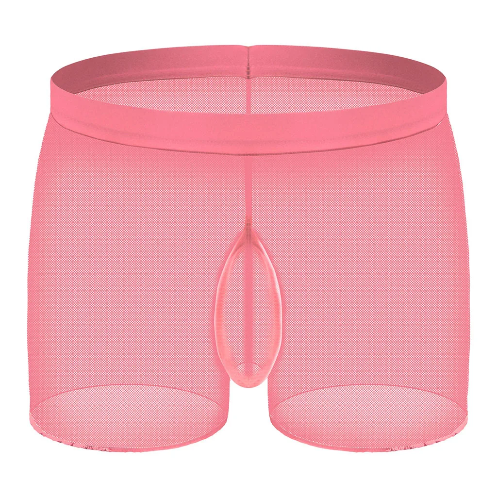 

Men's Sexy Brief Ice Silk Elastic Smooth Quick Dry Mankini Gay Sexy Low Waist Transparent Underwear Homme Comfortable Underpants