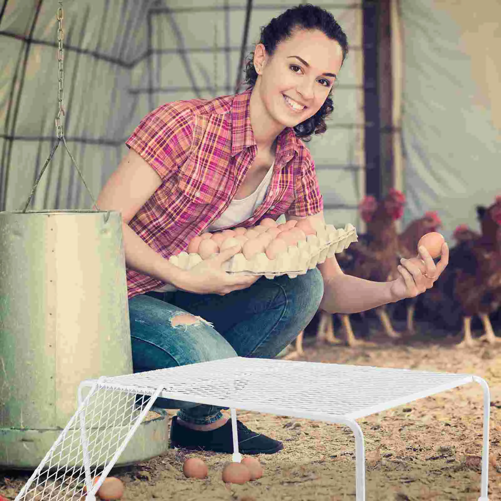 Chicken Coop Sleeping Perch Pet Feeding Rack Toy Platform with Ladder Striped Bass Funny Rutin Baby