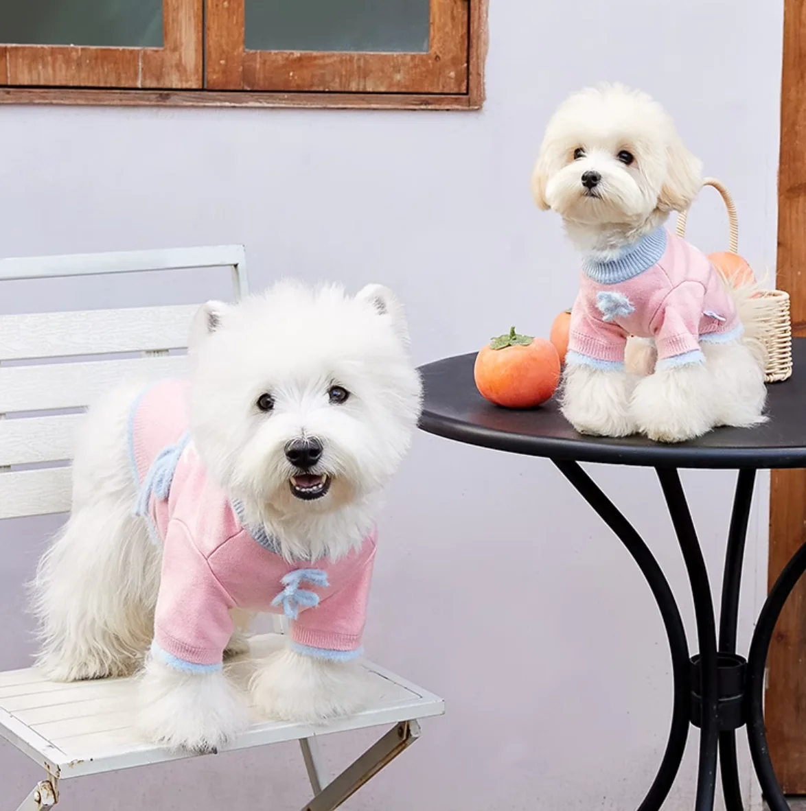 Soft Cotton Sweater for Pets, Small Dog Clothing, Cute French Fries Printed, High Quality Design Jacket for Cats and Animals