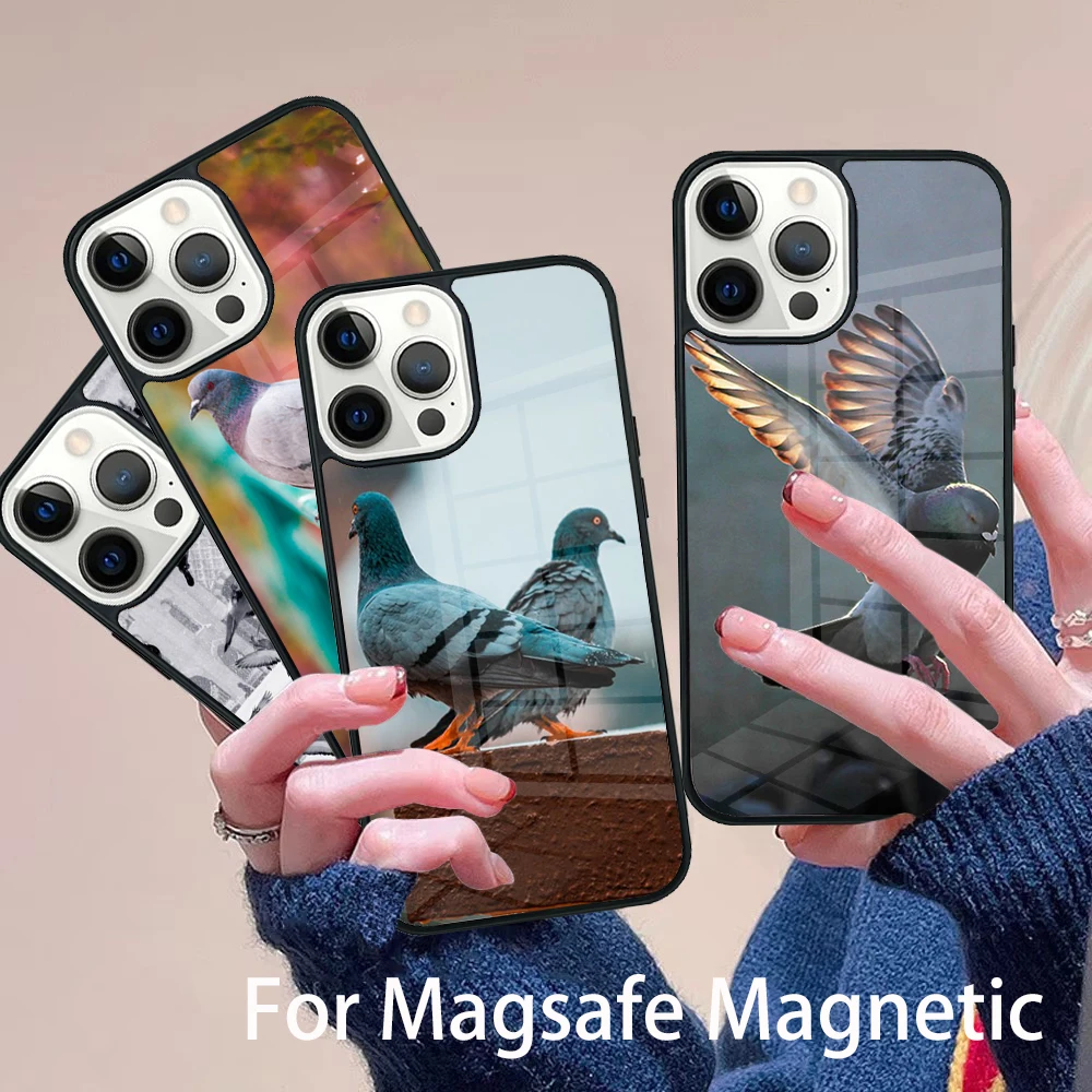 

Pigeons Collage Phone Case Magesafe Magnetic Wireless Charge Cover For IPhone 16 11 12 13 14 15 Pro Max Plus Mini
