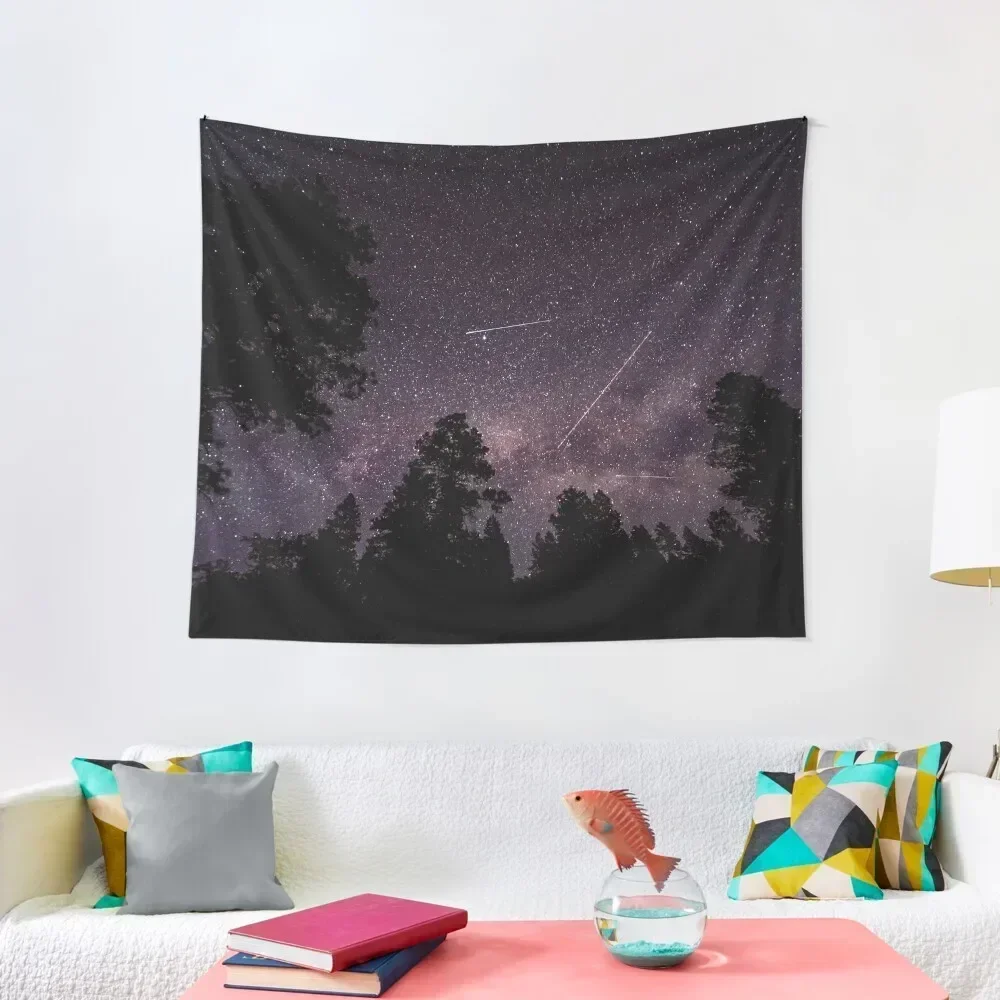 

Busy Sky - Shooting Stars Planes and Satellites in Colorado Night Sky Tapestry Decor For Room Tapestry