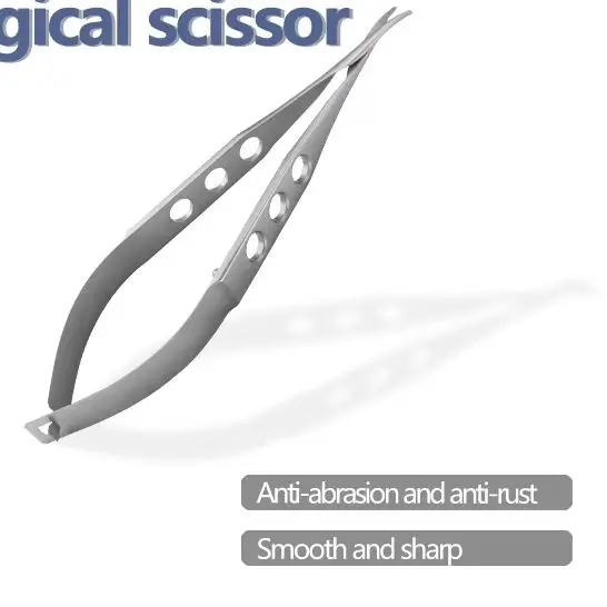 

Stainless Steel Scissor Resistant to Corrosion Round Head Design Safe to Use