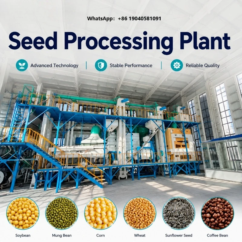0.5-4T/H Seed Processing Unit with Grain Cleaning and Grading Machine for Melon and Pumpkin