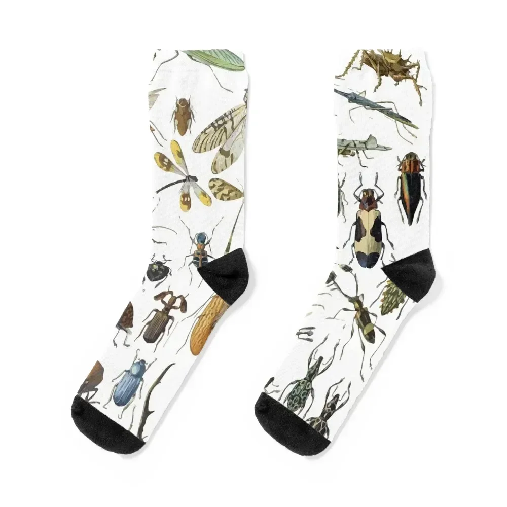 Adolphe Millot Insects Spider Socks heated anime Socks Female Men's