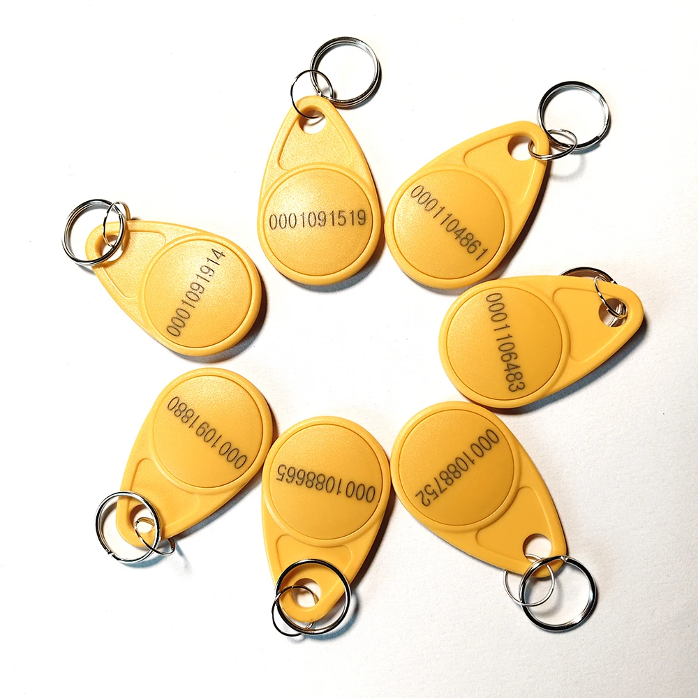 100Pcs/Lot 125Khz Proximity ABS TK4100 EM4100 Read-Only ID Keychain Token RFID Tag  Access Control Keyfob